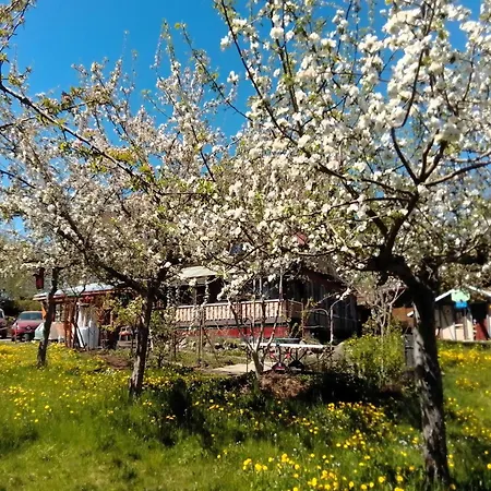 Ferienwohnung, * Bernau im Schwarzwald